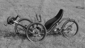 Steintrikes Wild One