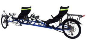 Trident Chameleon Converti-Trike