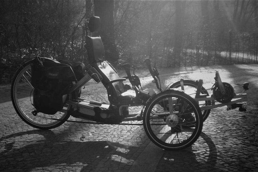 recumbent trike built from wood