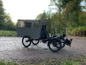 The Pony4 recumbent quad with a box for dogs
