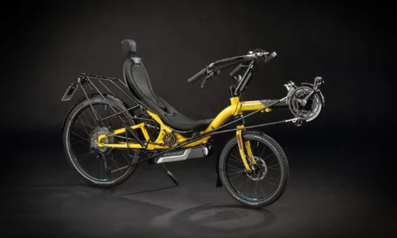First recumbent as a vehicle with type approval