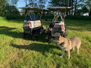 Dog and solar bicycles