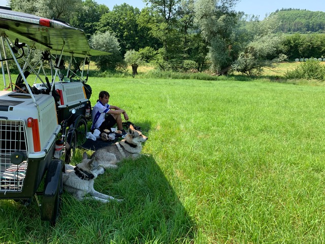 solar-powered recumbent four-wheel bicycle on tour - resting with dogs