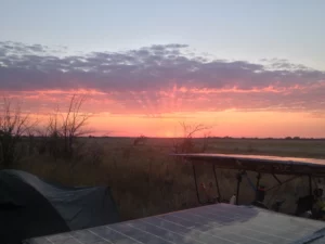 Beautiful morning