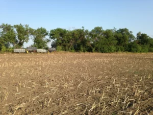 Camping on the edge of the field