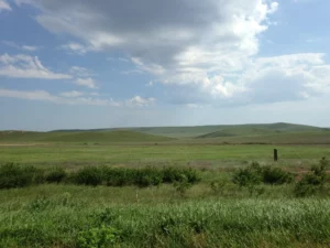 Crimean Plains