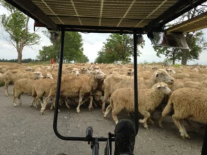 Leaving Moldova and arriving in Ukraine