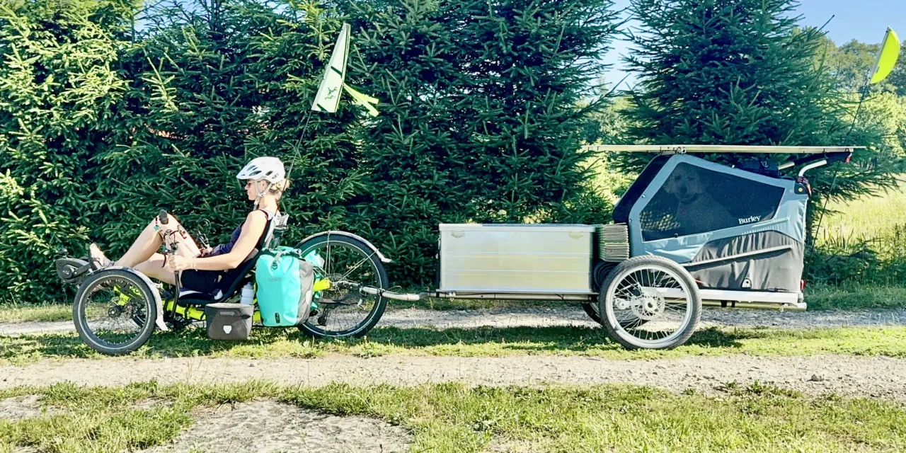 My experience with custom Aidoo Base cargo trailer