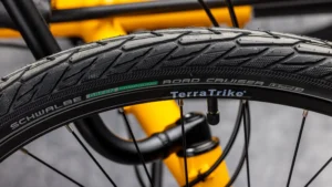 Terratrike Rebel Entry Level Recumbent Trike 1