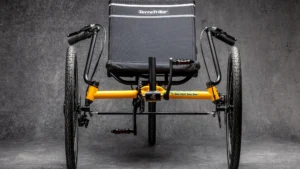 Terratrike Rebel Entry Level Recumbent Trike 7