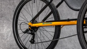 Terratrike Rebel Entry Level Recumbent Trike 9